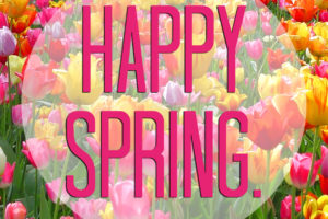 Spring is a perfect season to refresh your life plan