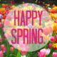 Spring is a perfect season to refresh your life plan